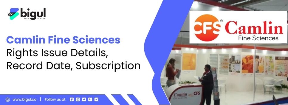 Camlin Fine Sciences Rights Issue