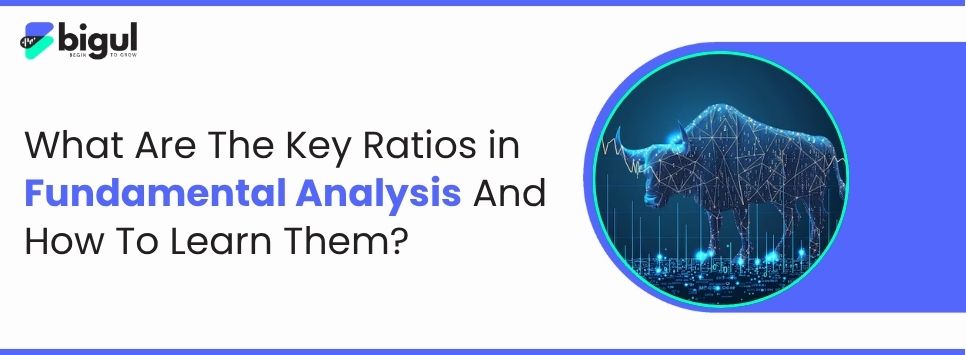 What are Key Ratios in Fundamental Analysis & How to Learn Them